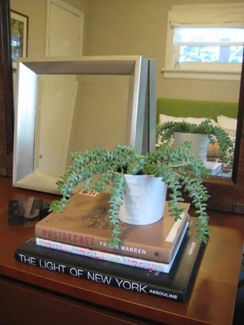 Straightforward House Plants To Keep Alive