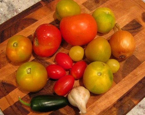 Hands-on Salsa Making Kit