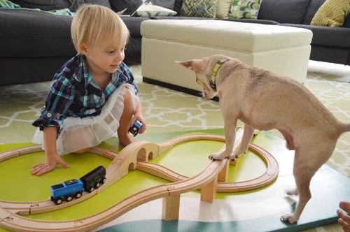 September Superlatives: Trains & Travels: a house log