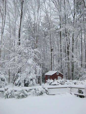 Snow Day: a house log