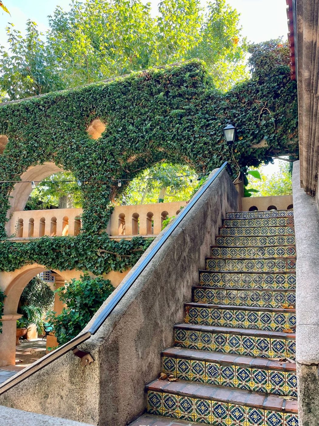 Striking Ivy Covered Stairs In Sedona Arizona