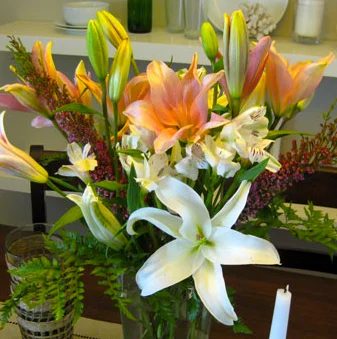 Budget Blooms: My Birthday Bounty: a house log