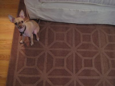A Brown Area Rug From JC Penney: a house log