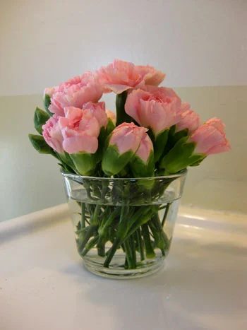Budget Blooms: Fairly In Pink