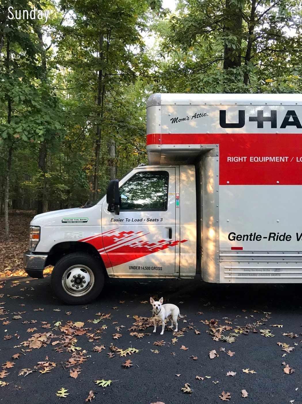 #80: How We Knew It Was Time To Move: a house log