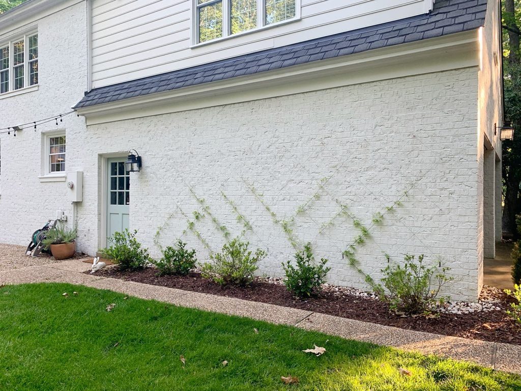 Hands-on wire vine trellis on white brick home