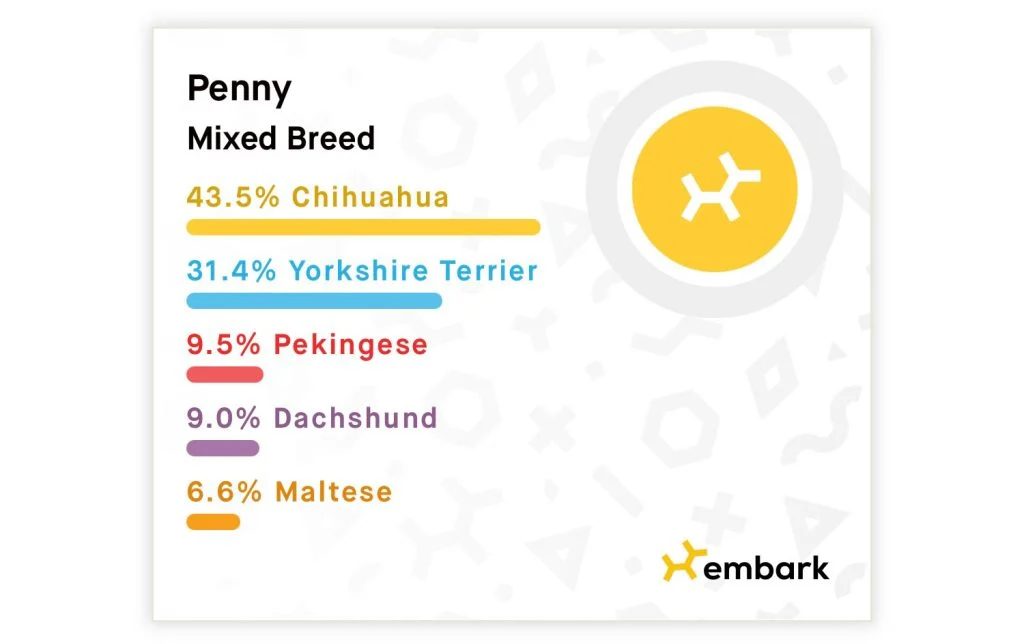 Embark Dog Breed Identification Results