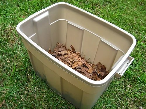 dried leaves in bottom of homemade compost bin