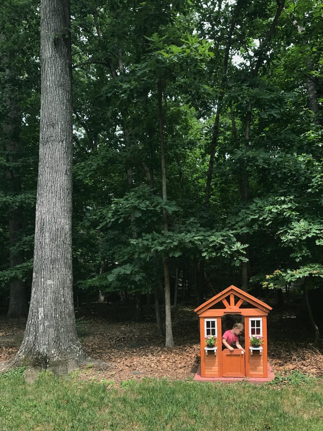 Adding A Little Wooden Playhouse: a house log