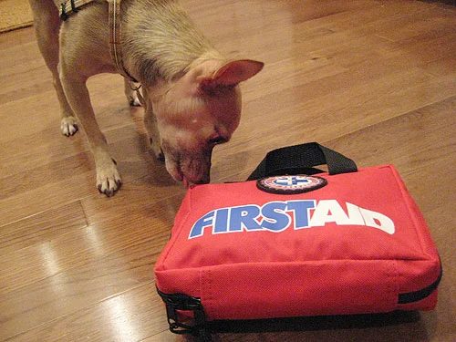 Fab Freebie: Furry First Aid: a house log