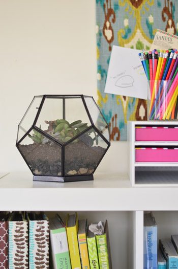 Make A Terrarium, step by step