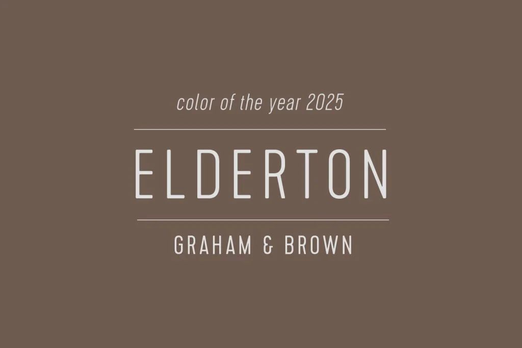 Swatch of Elderton Graham & Brown Paint of the Year 2025