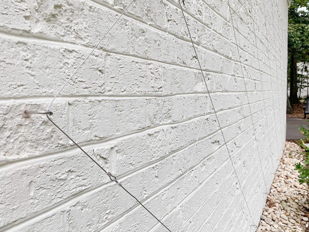 Wrapped up Wire Trellis On White Brick Wall