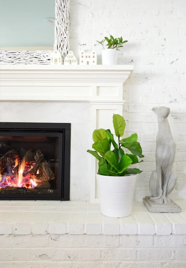 The Best Faux Fiddle Leaf Fig I have Ever Seen