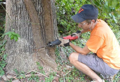 Landscaping Updates In The Backyard: a house log