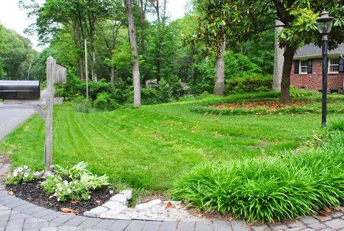 Seeding Some Bare Dirt Spots To Grow Grass: a house log