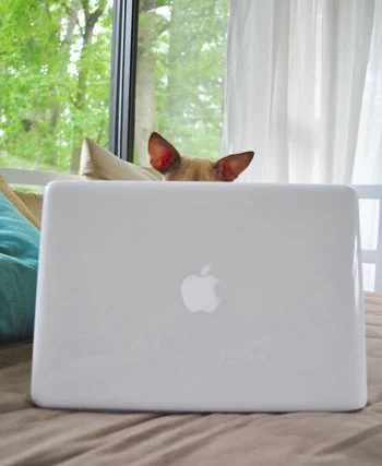 Ten Things We have Learned As Pro Bloggers