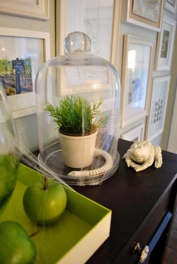 Hands-on Halloween Decor With Spiders And Snakes