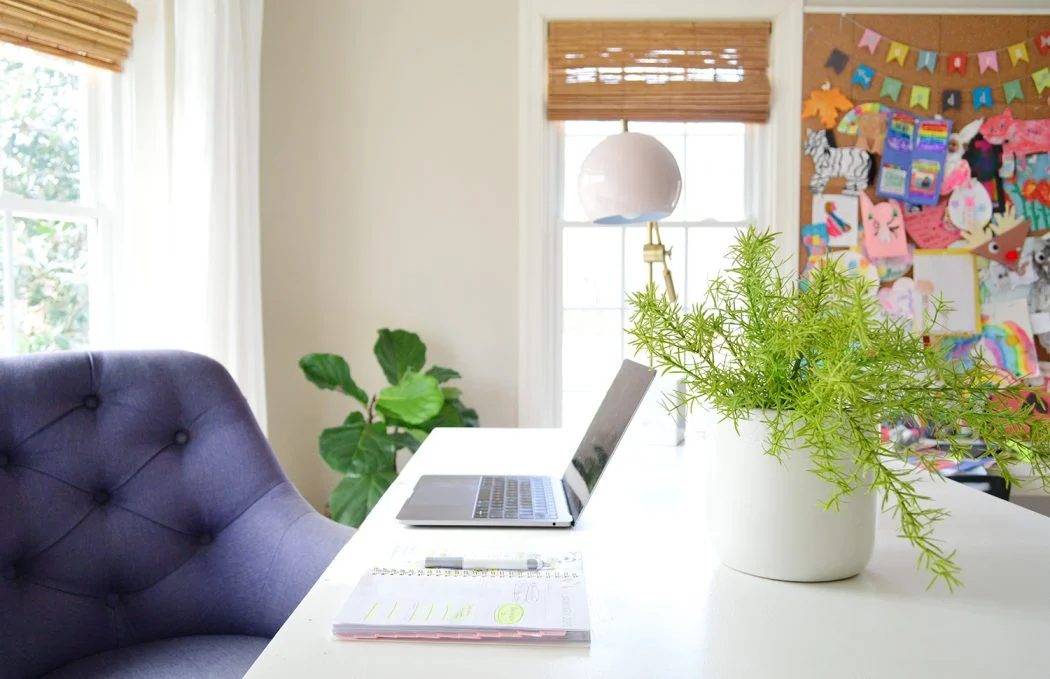 The Easiest House Plants & The Best Faux Plants I have Found