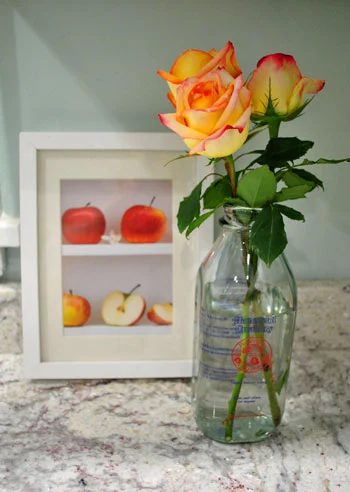Budget Blooms: May Madness: a house log