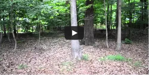 An Outdoor Tour Of The New House