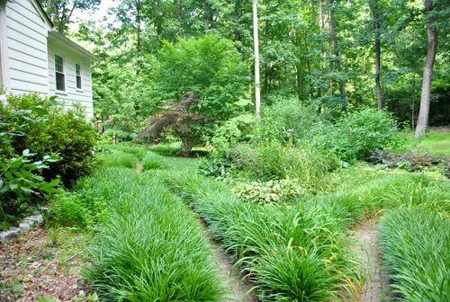Outdoor Updates & A Landscaping Tour