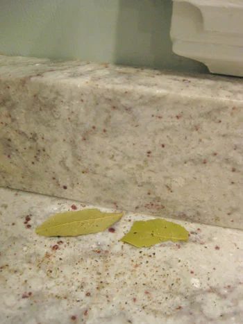 Get Rid Of Ants Naturally, step by step