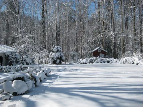 vivid-snow-picture-backyard