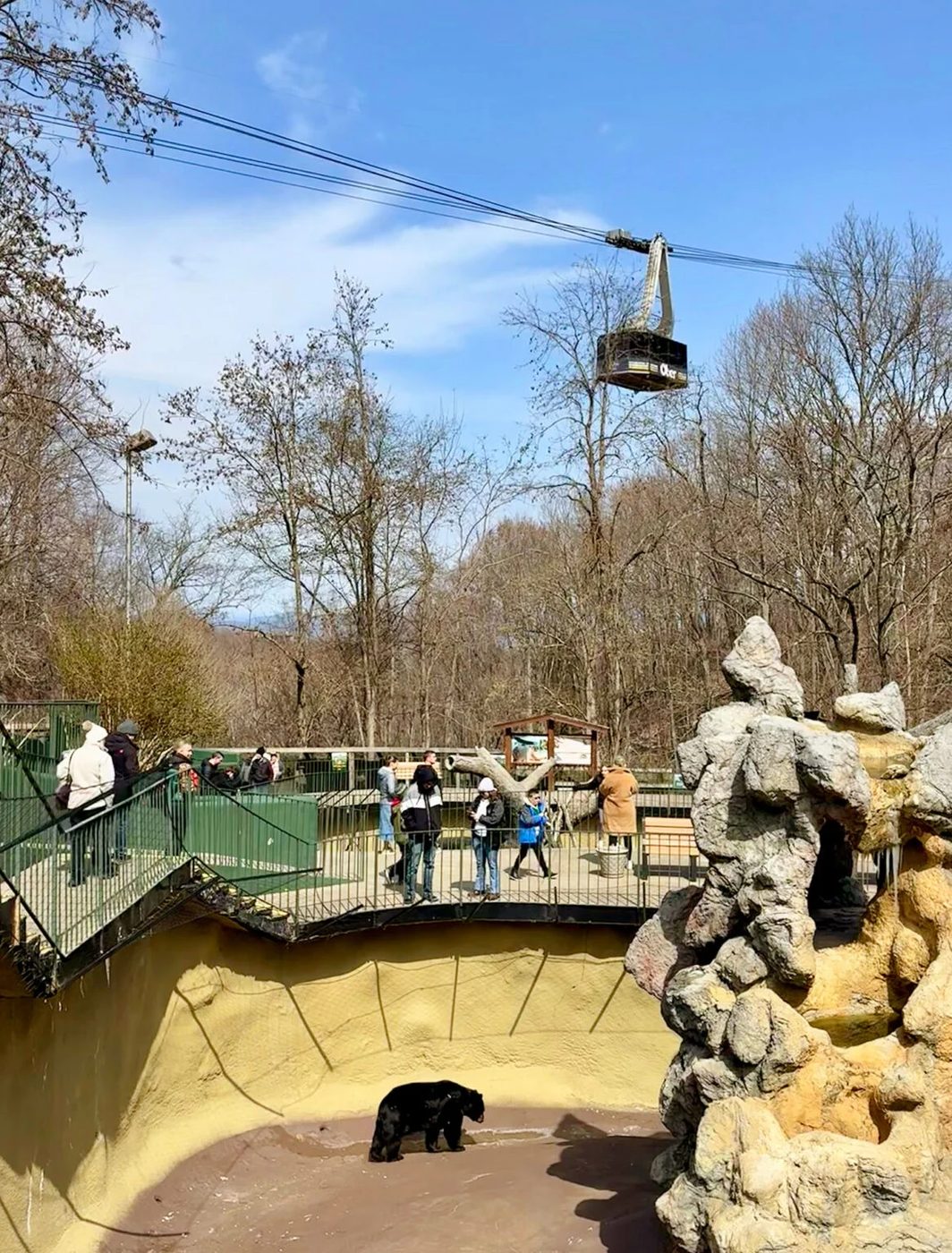 Aerial Tram over Ober Mountain Wildlife Habitat in Gatlinburg TN