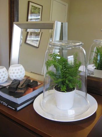 Make A Glass Terrarium, step by step
