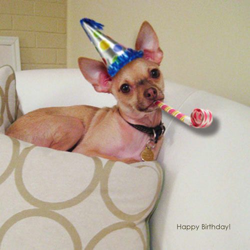 Birthday Booty: a house log