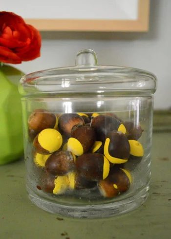 When Acorn Crafts Go Terribly Wrong: a house log