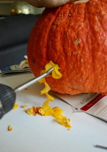 Drilling Holes In Your Pumpkins Meant for Spooky Wood Snakes