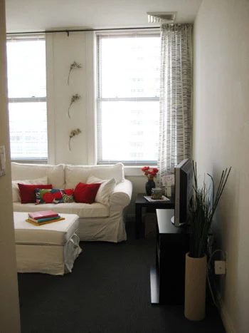 A Philly Apartment Makeover On A Budget: a house log
