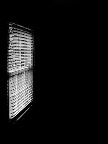 House Hunting: Strange, But True: a house log