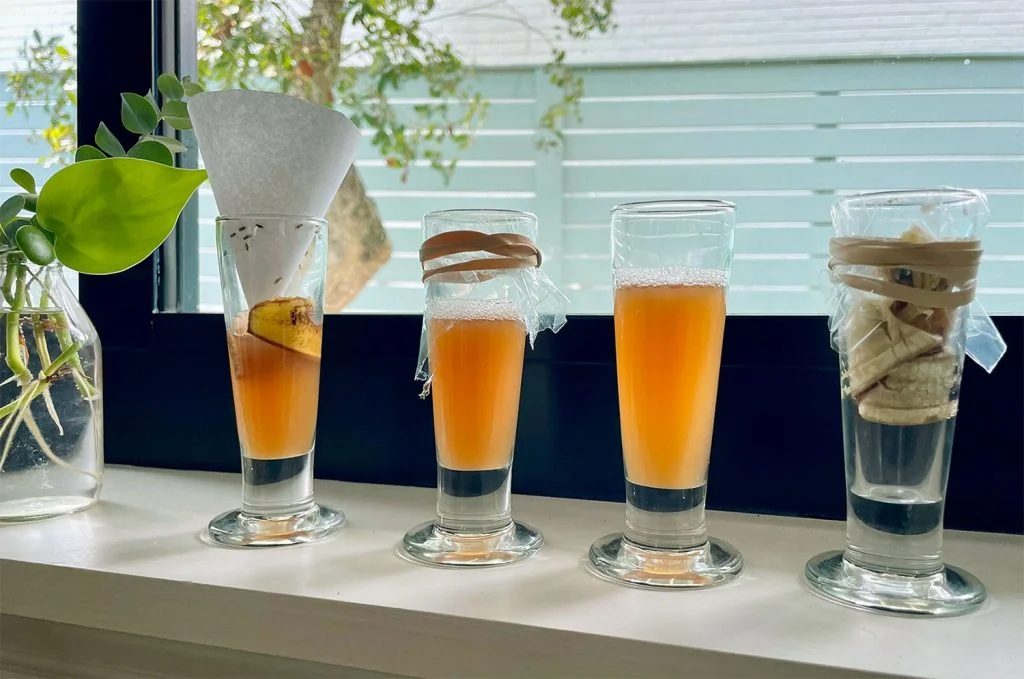 4 Hands-on Fruit Fly Traps Tested On Windowsill