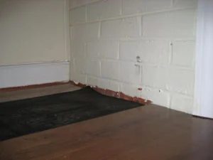 How Lowe’s Can Ya Go?: a house log