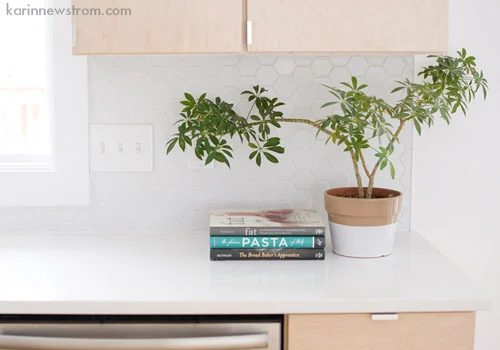 A Modern Kitchen Alongside Blonde Wood Cabinets