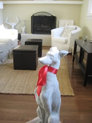 Puppy Enjoy