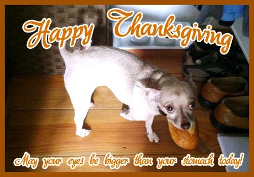 Gobble Gobble: a house log
