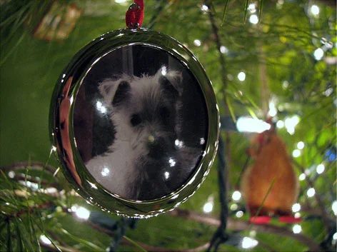 Using Frames To Make Christmas Ornaments: a house log