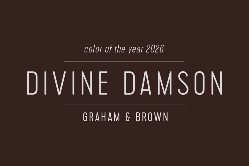 Graham and Brown Paint of the Year 2026 Divine Damson Swatch