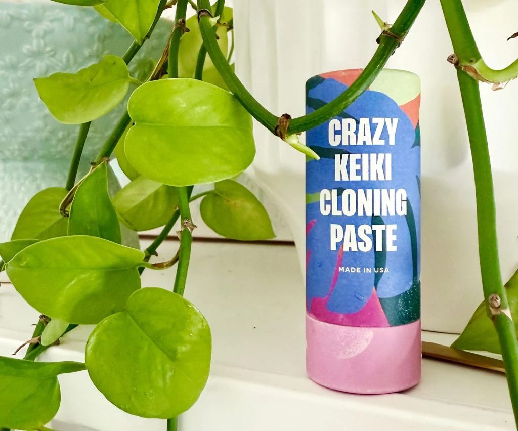 Container Of Crazy Keiki Cloning Paste By Southside Plants