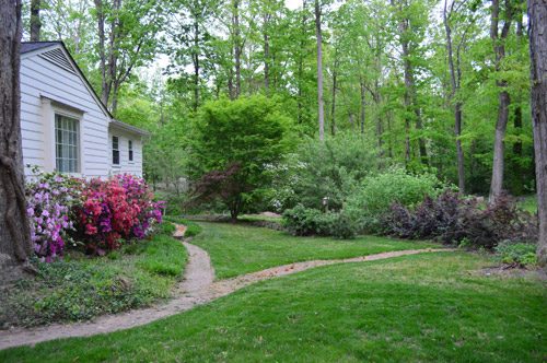 After Photo Of Backyard With Manicured Grassy Lawn