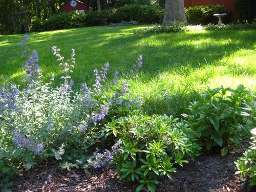 Landscaping Around The Paver Patio