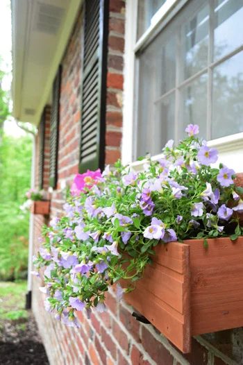 Hang Window Boxes, step by step