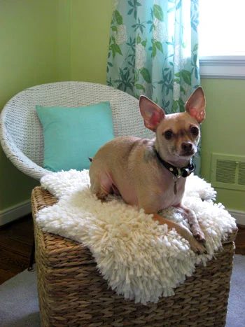 Making A Faux Sheepskin Rug (Part 1): a house log