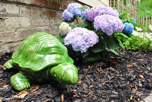 May Superlatives: Ninja Turtles & Hairy Sherry: a house log