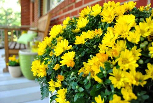 A Few Swift Front Porch Updates