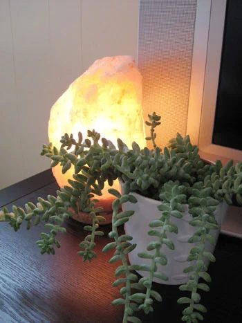 Do Salt Lamps Work?: a house log